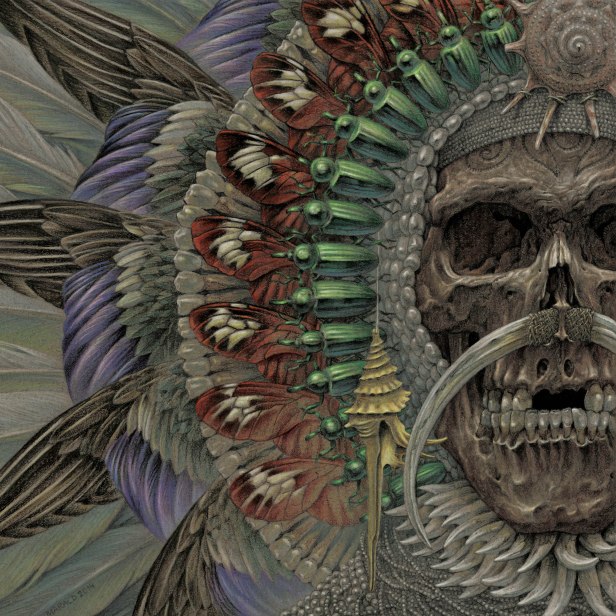 sacred-states-avatar