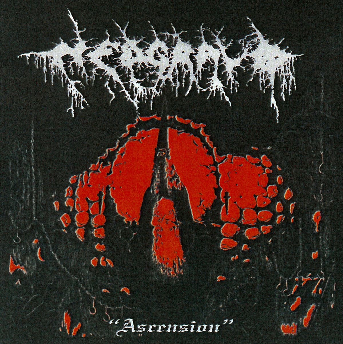 Nedgravd – Ascension – Addergebroed